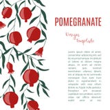 Calibre de conception avec des fruits de grenade Illustration de dessin de main avec l'espace pour le texte illustration libre de droits Calibre de conception avec des fruits de grenade Illustration de dessin de main avec l'espace pour le texte illustration libre de droits