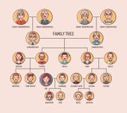Calibre de diagramme de pedigree ou d'ascendance avec des portraits des hommes et des femmes dans les cadres ronds Visualisation illustration libre de droits Calibre de diagramme de pedigree ou d'ascendance avec des portraits des hommes et des femmes dans les cadres ronds Visualisation illustration libre de droits