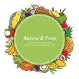 Calibre mignon de fond de bannière de fruits tropicaux avec l'espace de copie Images libres de droits Calibre mignon de fond de bannière de fruits tropicaux avec l'espace de copie Images libres de droits