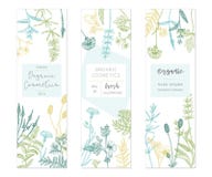 Calibres floraux de vecteur illustration libre de droits Calibres floraux de vecteur illustration libre de droits