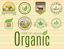Calibres sains de nourriture de bio eco organique de ferme et couleur verte de vegan de vintage pour le menu de restaurant ou le Photographie stock libre de droits Calibres sains de nourriture de bio eco organique de ferme et couleur verte de vegan de vintage pour le menu de restaurant ou le Photographie stock libre de droits