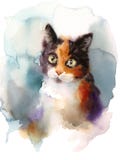 Calicot Cat Watercolor Pet Portrait Illustration peinte à la main illustration stock Calicot Cat Watercolor Pet Portrait Illustration peinte à la main illustration stock