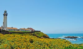 Pigeon Point Light Station, lighthouse, west coast, flowers, Pacific Ocean, beach, California, United States of America, Usa stock image Pigeon Point Light Station, lighthouse, west coast, flowers, Pacific Ocean, beach, California, United States of America, Usa stock image