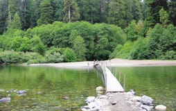 Californische sequoia Bosrivier met brug royalty-vrije stock foto Californische sequoia Bosrivier met brug royalty-vrije stock foto