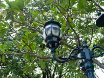 Calle de la lámpara en princesa Mother Memorial Park, Bangkok, Tailandia imagenes de archivo Calle de la lámpara en princesa Mother Memorial Park, Bangkok, Tailandia imagenes de archivo