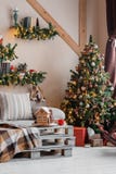 Calm image of interior modern home living room decorated christmas tree and gifts, sofa, table covered with blanket. Stock Image Calm image of interior modern home living room decorated christmas tree and gifts, sofa, table covered with blanket. Stock Image