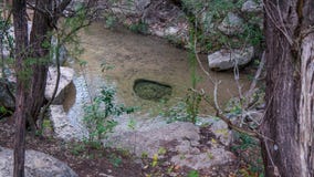 Calm section of river with rocks in water and on banks, in forest woods royalty free stock photos Calm section of river with rocks in water and on banks, in forest woods royalty free stock photos
