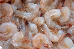 Camarão lavado fresco apenas enxaguado e preparado para ser cozinhado no contador de cozinha imagens de stock Camarão lavado fresco apenas enxaguado e preparado para ser cozinhado no contador de cozinha imagens de stock