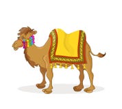 Camel Royalty Free Stock Images Camel Royalty Free Stock Images
