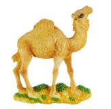 Camel Royalty Free Stock Photos