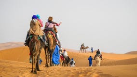 Camel caravan going through the sand dunes in the Sahara Desert, Morocco stock photography Camel caravan going through the sand dunes in the Sahara Desert, Morocco stock photography