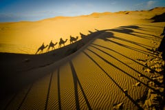 Camel Caravan In The Sahara Desert Royalty Free Stock Images Camel Caravan In The Sahara Desert Royalty Free Stock Images