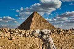 Camel holding pyramid on head royalty free stock photography Camel holding pyramid on head royalty free stock photography
