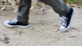 Caminata con un perro Caminata con un perro