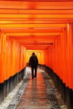 Caminhadas do turista com o caminho do torii ao santuário de Fushimi Inari Taisha imagem de stock royalty free Caminhadas do turista com o caminho do torii ao santuário de Fushimi Inari Taisha imagem de stock royalty free