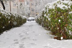 Camino con pequeña nieve blanca y mullida imagen de archivo libre de regalías Camino con pequeña nieve blanca y mullida imagen de archivo libre de regalías
