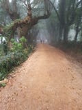 Camino santiago royalty free stock photo Camino santiago royalty free stock photo