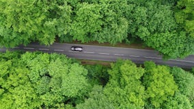 Camino a través de un bosque - visión aérea Camino a través de un bosque - visión aérea