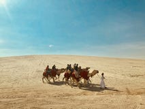 Cammelli nel deserto fotografie stock libere da diritti Cammelli nel deserto fotografie stock libere da diritti