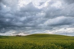 Campagna rurale Italia del percorso dell'architetto di giardini della Toscana verde blu fotografia stock libera da diritti Campagna rurale Italia del percorso dell'architetto di giardini della Toscana verde blu fotografia stock libera da diritti