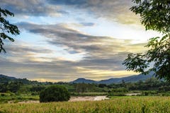 Campi di grano con lo scorrimento dei fiumi fotografia stock Campi di grano con lo scorrimento dei fiumi fotografia stock