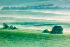Campi di rotolamento di Moravian in foschia di mattina fotografia stock Campi di rotolamento di Moravian in foschia di mattina fotografia stock