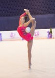 Campionato ucraino 2014 di ginnastica ritmica fotografia stock libera da diritti Campionato ucraino 2014 di ginnastica ritmica fotografia stock libera da diritti