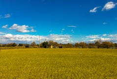 Campo com fotos de stock royalty free Campo com fotos de stock royalty free