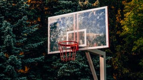 Campo da pallacanestro in mezzo ad una foresta scura spessa immagine stock libera da diritti Campo da pallacanestro in mezzo ad una foresta scura spessa immagine stock libera da diritti