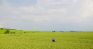 Campo de examen de la agricultura del granjero en granja almacen de metraje de vídeo Campo de examen de la agricultura del granjero en granja almacen de metraje de vídeo
