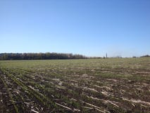 Campo dopo la raccolta nel cielo blu del fondo immagini stock libere da diritti Campo dopo la raccolta nel cielo blu del fondo immagini stock libere da diritti