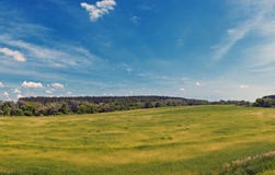 Campo russo infinito, panorama, Kolomna, Russia, estate fotografie stock Campo russo infinito, panorama, Kolomna, Russia, estate fotografie stock