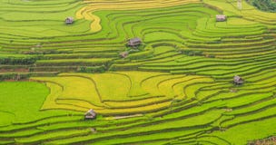 Campo Terraced do arroz em Vietname do norte Foto de Stock Campo Terraced do arroz em Vietname do norte Foto de Stock