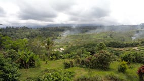 Campos de arroz colgantes del arroz en Bali central, Indonesia almacen de metraje de vídeo Campos de arroz colgantes del arroz en Bali central, Indonesia almacen de metraje de vídeo