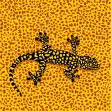 Camuflaje del Salamander ilustración del vector Camuflaje del Salamander ilustración del vector