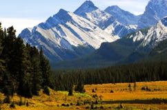 Canada- Alberta- Mountain Scenery in Banff National Park royalty free stock photography Canada- Alberta- Mountain Scenery in Banff National Park royalty free stock photography