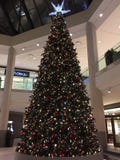Canada de Londres Ontario Un arbre de Noël massif au mail de Masonville image libre de droits Canada de Londres Ontario Un arbre de Noël massif au mail de Masonville image libre de droits