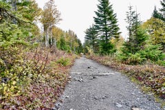 Canadian trail during fall in Mount Ernest Laforce, Gaspésie national park royalty free stock photos Canadian trail during fall in Mount Ernest Laforce, Gaspésie national park royalty free stock photos