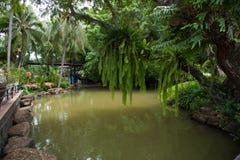 canal et jardin photographie stock libre de droits canal et jardin photographie stock libre de droits