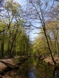 Canal in the woods royalty free stock photography Canal in the woods royalty free stock photography