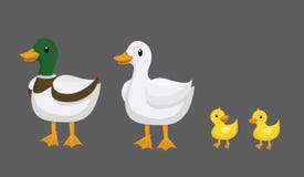 Canards illustration libre de droits Canards illustration libre de droits