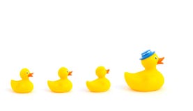 Canards jaunes de jouet image libre de droits Canards jaunes de jouet image libre de droits