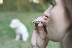 Cane di addestramento del proprietario dell'animale domestico facendo uso del fischio fotografia stock libera da diritti Cane di addestramento del proprietario dell'animale domestico facendo uso del fischio fotografia stock libera da diritti