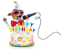 Cane di buon compleanno Cane di buon compleanno