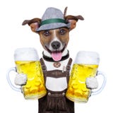 Cane di Oktoberfest Immagini Stock Libere da Diritti Cane di Oktoberfest Immagini Stock Libere da Diritti