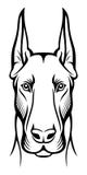 Cane di vettore Testa di Dobermanns illustrazione di stock Cane di vettore Testa di Dobermanns illustrazione di stock