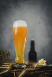 Caneca de cerveja no tronco de madeira fotografia de stock Caneca de cerveja no tronco de madeira fotografia de stock
