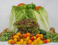 Canestro organico delle verdure dall'agricoltore della famiglia immagine stock Canestro organico delle verdure dall'agricoltore della famiglia immagine stock
