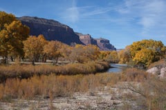 Canion van Dolores River dichtbij Gateway, Colorado Stock Afbeelding Canion van Dolores River dichtbij Gateway, Colorado Stock Afbeelding