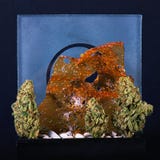 Cannabis nugs and shatter isolated on black background stock images Cannabis nugs and shatter isolated on black background stock images